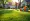 Lawn Services Cost: Compare DIY vs. Professional Options