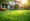 Master Lawn Weed Control Services for a Healthy, Beautiful Yard