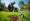 Master Pre Emergent Lawn Treatment: Timing, Application, and Tips