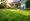 4 Essential Lawn Treatment Practices for a Healthy Yard