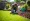 Essential Lawn Care Instructions for a Healthy, Beautiful Yard