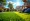 Essential Grass Care Near Me: Tips for a Thriving Lawn