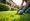 5 Steps to Choose the Right Lawn Service for Your Home