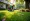 Why Local Lawn Care Matters for Your Home and Community