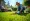10 Essential Lawn Maintenance Tips for Homeowners