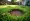 Manage Fairy Rings in Lawn: Step-by-Step Solutions for Homeowners