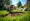 4 Best Practices for Effective Yard Treatment at Home
