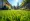 Master Eco Friendly Lawn Care: 4 Essential Practices for Homeowners